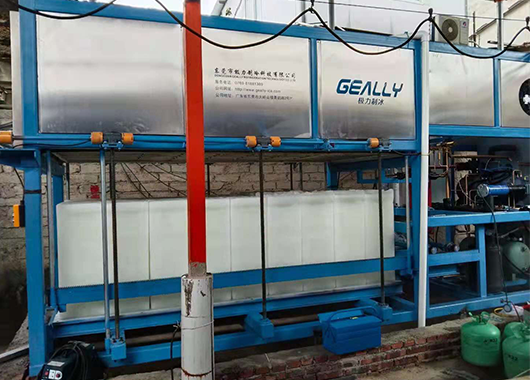 福建5吨直冷式块冰机案例