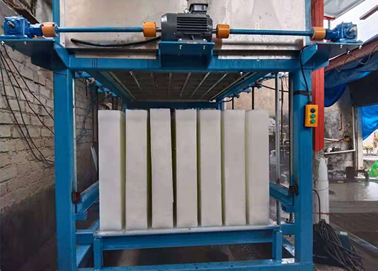 福建5吨直冷式块冰机案例