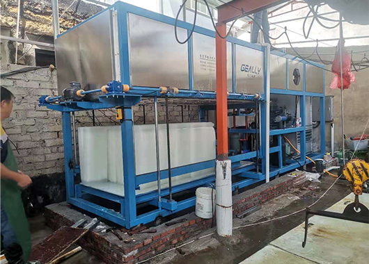 福建5吨直冷式块冰机案例