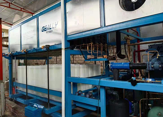 福建5吨直冷式块冰机案例