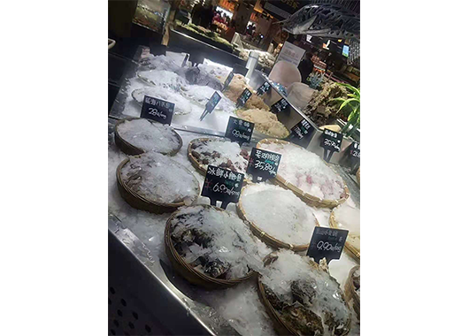 福建某超市1.5吨片冰机案例