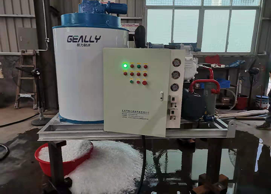 某食品公司5吨片冰机案例