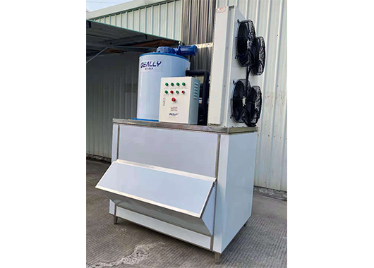 福建某食品厂2吨片冰机案例