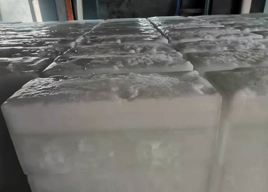 莆田10吨直冷式块冰机案例