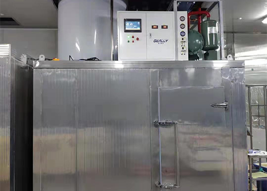 某水产公司10吨片冰机案例