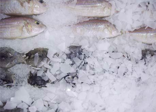 福建某食品厂2吨片冰机案例