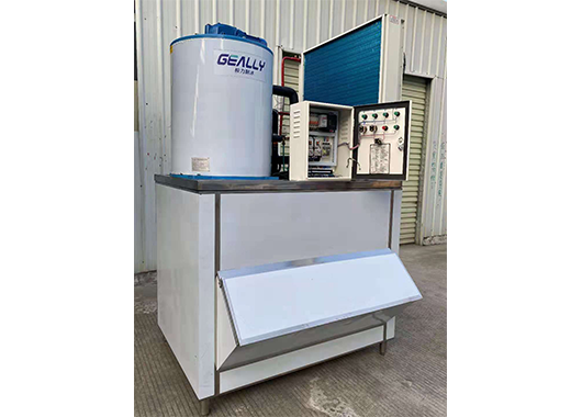 福建某食品厂2吨片冰机案例