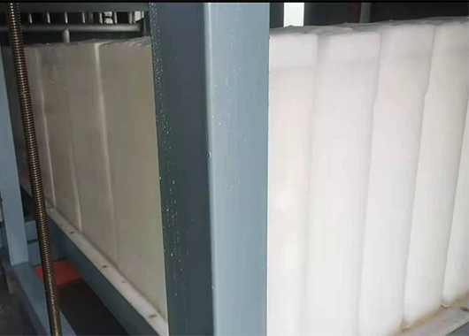 莆田10吨直冷式块冰机案例
