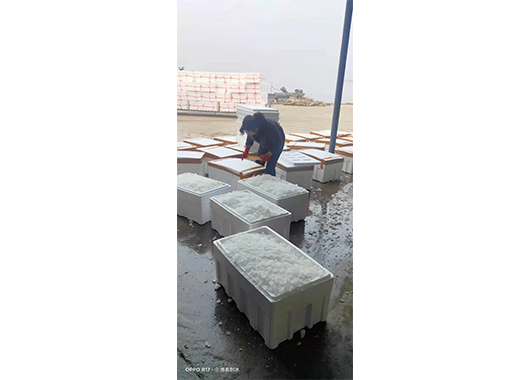 某食品机械公司20吨片冰机案例