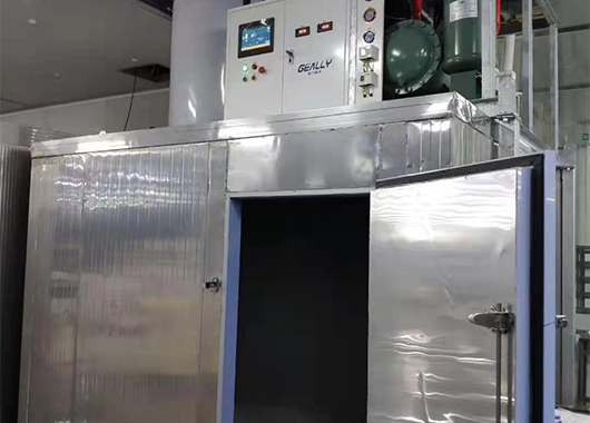 某水产公司10吨片冰机案例