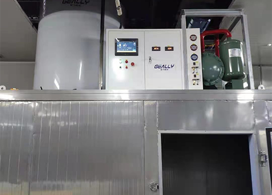 某水产公司10吨片冰机案例