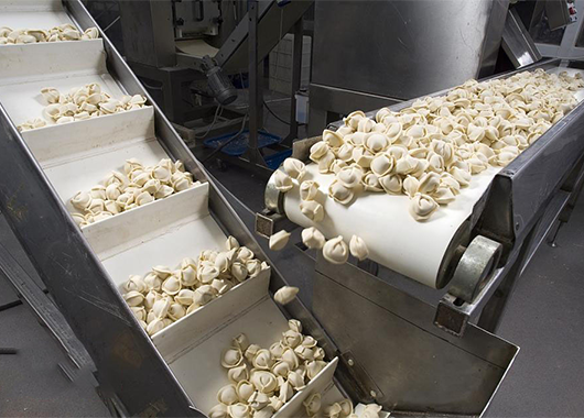 湖南某食品厂2吨片冰机案例