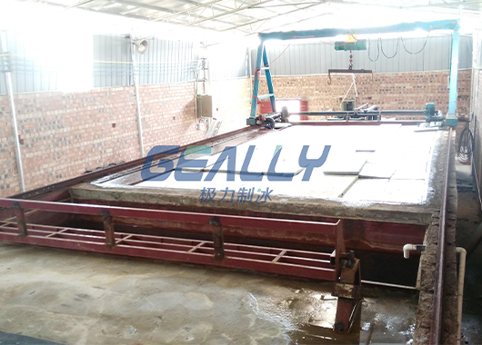 广西20吨盐水池制冰厂案例