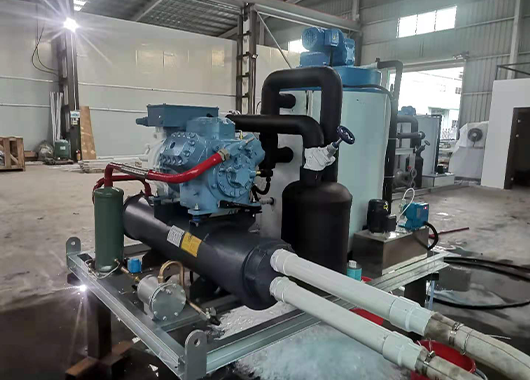 某食品公司5吨片冰机案例