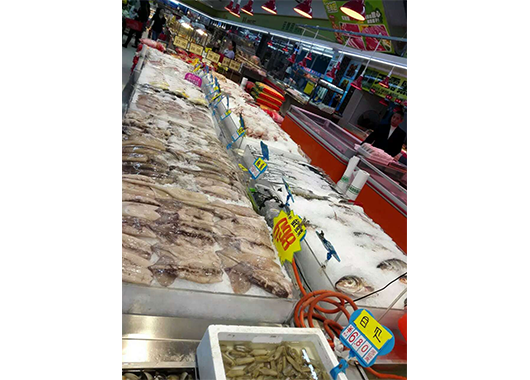 广西某水产市场3吨片冰机案例